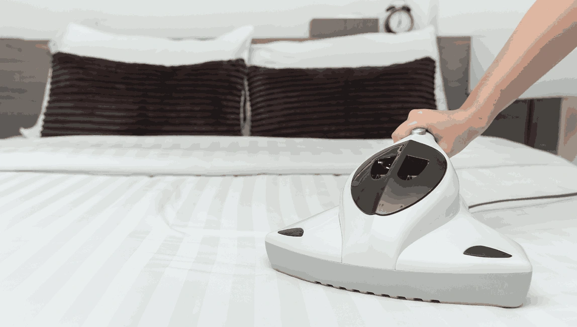 Professional Mattress Cleaning Travancore